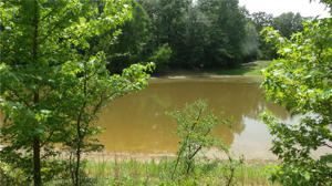 Lot 20 Pr 52444