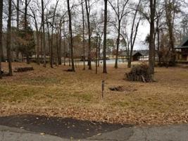 Lot 152 TBD King Kent Court