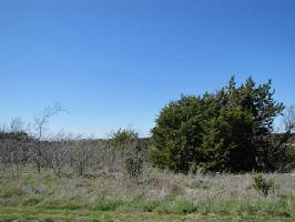 1020 Compass Way Lot 219