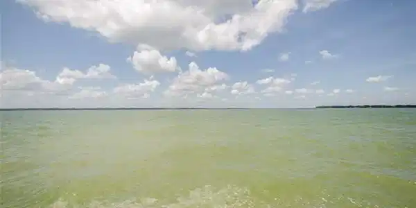 L 509 The Shores Drive Lot 509
