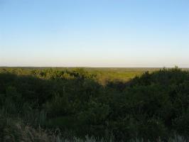 1730 Majestic Shores Lot 945