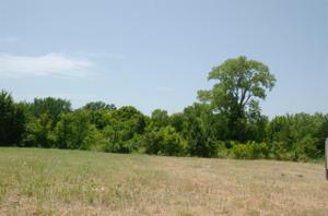 Lt 6 Frisco Road Lot 6