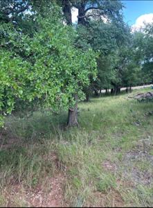 Lot 940 Oak Point Drive