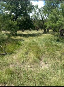 Lot 916 Oak Point Drive