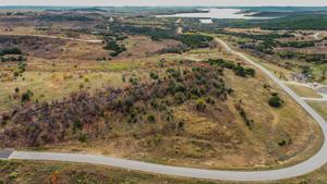 LOT651R Canyon Wren Loop