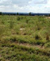 Turnberry Loop Lot 135