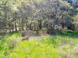 1121 Millcreek Trail