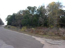 Lot 21-2 tbd Shady Lane