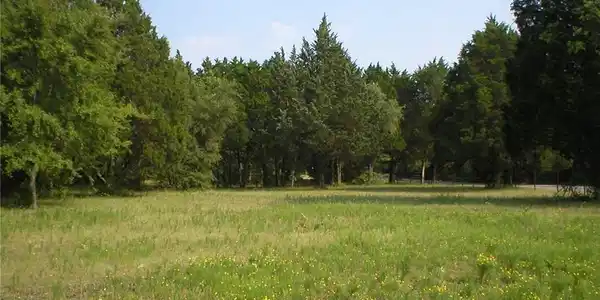 Lot 1 Lot 1 Grandview Estates Dr Drive