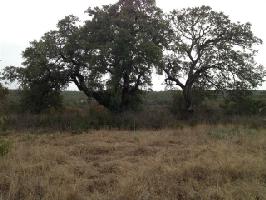 1915 Beacon Lake Drive Lot 740