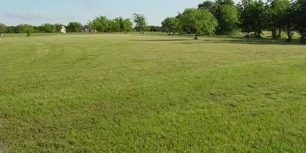 78 Tonkawa Trail