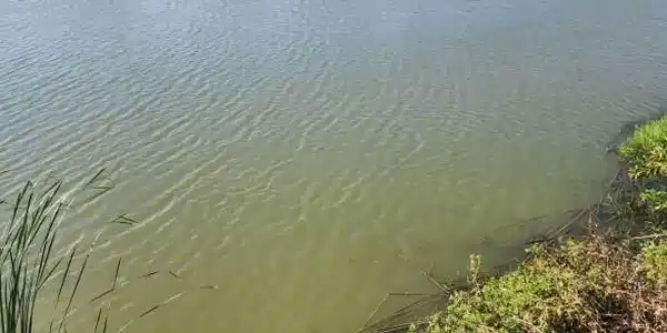 Image 4 Image 4