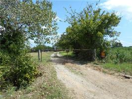 Upper Montague Road