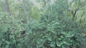 144 S Greenbriar Road Lot 533
