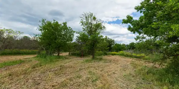 Image 3 Image 3