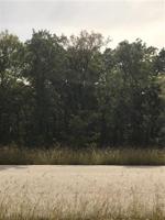 Lot 11 Haynie Drive