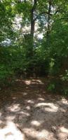 9811 Shady Lane