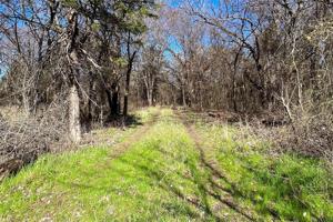 TBD2 County Road 103
