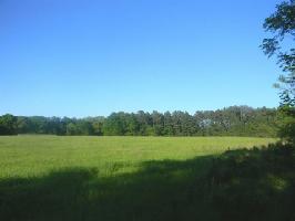 501 Cades Cove Road