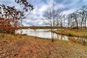 Lot 58 Indian Gap