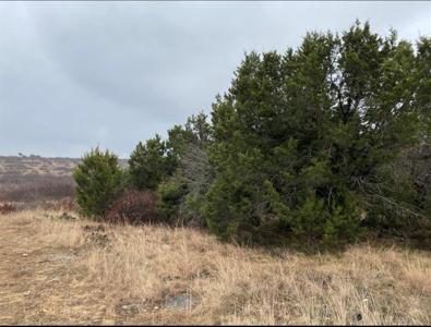 Lot 22 S Glen Abby Drive