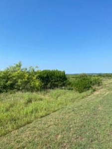 Lot 203 Evening Primrose Drive