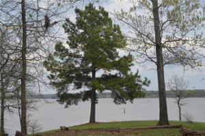 134 Private Road 5863 Lot 1-5