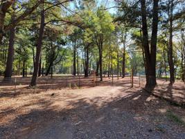 20607 County Road 189 N