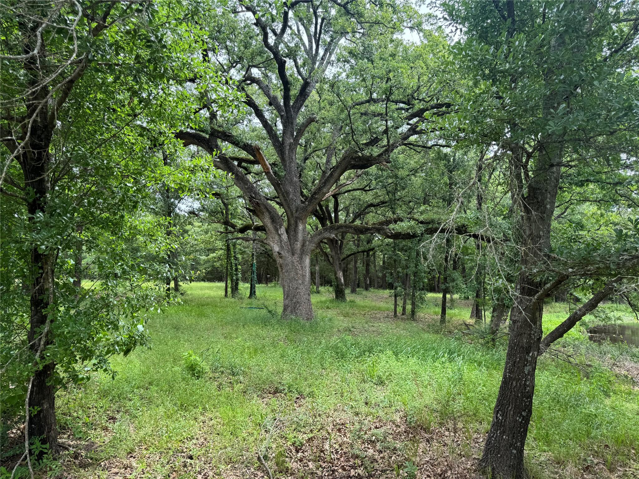 Image 2 Image 2