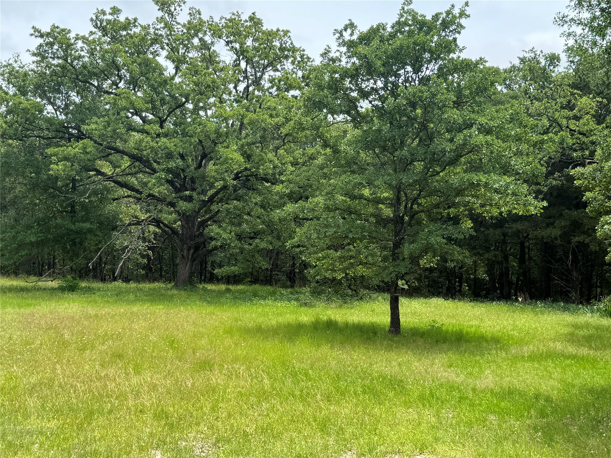 Image 4 Image 4