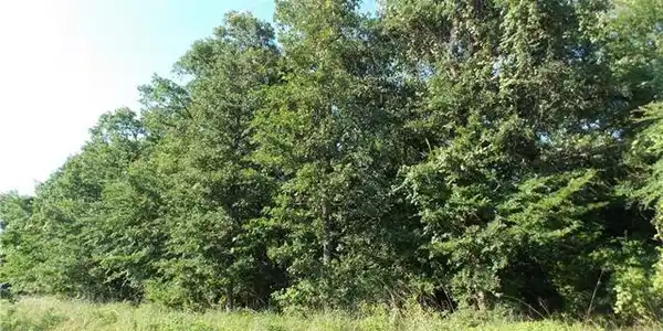 L 145 Shenandoah Lot 145