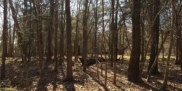101 Waters Edge Lot 101