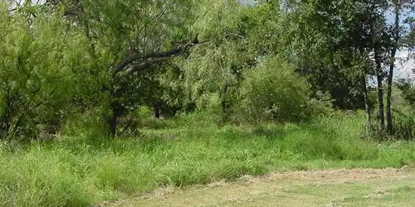 SE County Road 3135 Lot 42