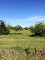 tbd Farm to Market 3118