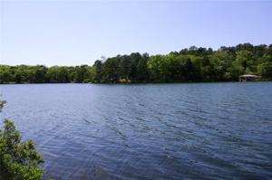 Lot 445 County Road 4516