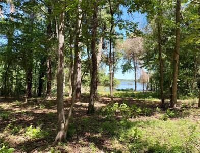 0000 County Road 3202