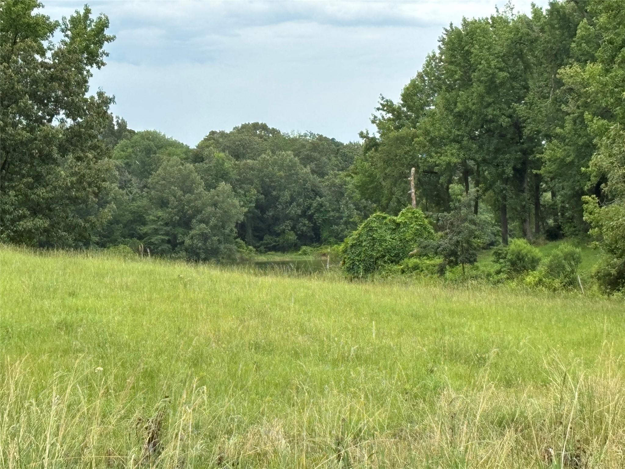 Image 4 Image 4