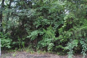 Lot 320 Lot320 Briggs Boulevard