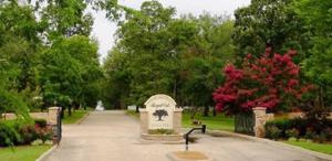 Lot 61 PR 5943