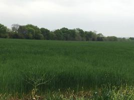 Hagerman Road