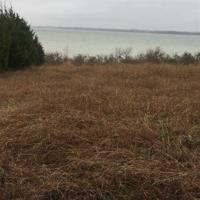 Lot 6 County Road 439