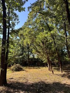 TBD Sherwood Circle