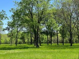 Lot 20 RS County Road 1503