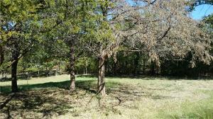 311 Stone Circle Drive Lot 31