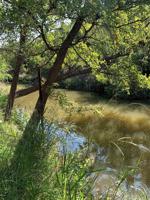 Lot 22 TBD Lagoon Lane