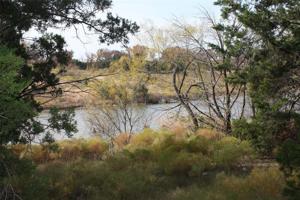 913 Cinnamon Teal