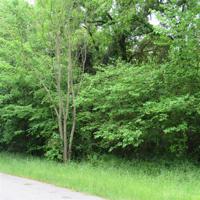 Lot 79,80 TBD CR 1298