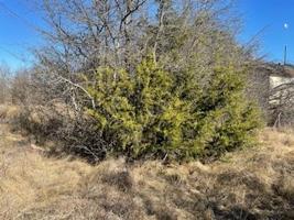 7072 County Road 429