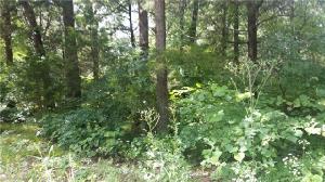 5 Stratford Drive Lot 693