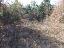 tbd Elm Drive